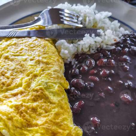 Mexican Omeletts